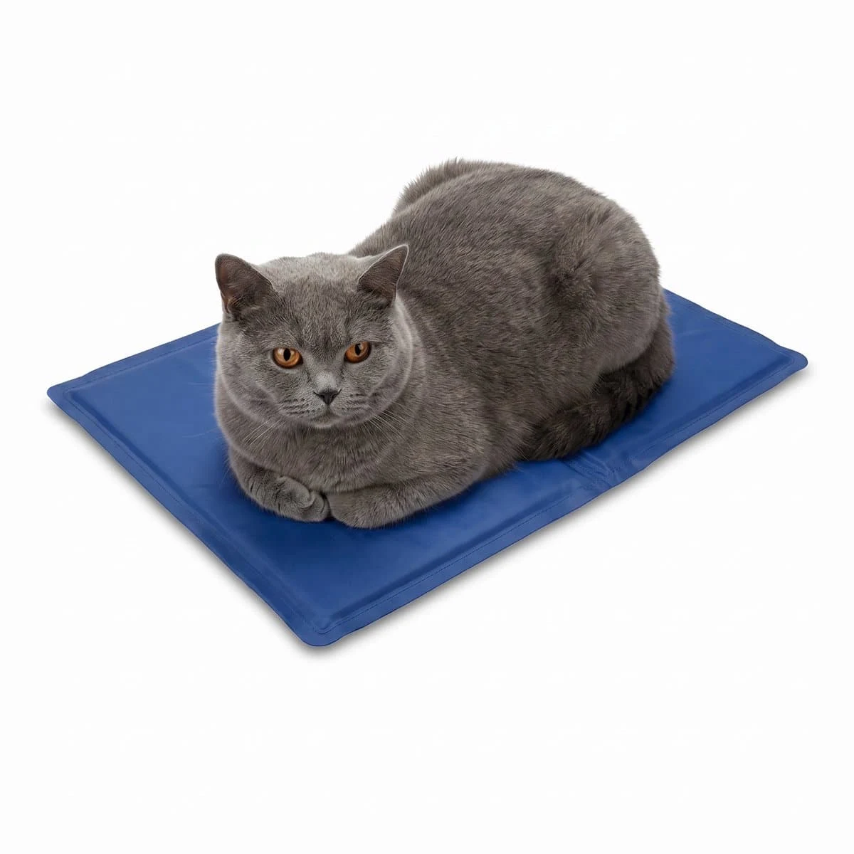 Product photo of the blue cooling mat with a British shorthair cat lying on it.