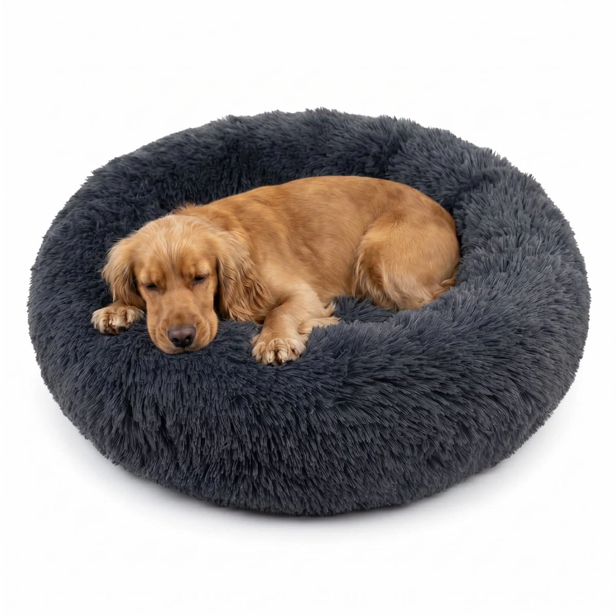Product photo of the navy donut bed with a golden retriever curled up asleep in it.