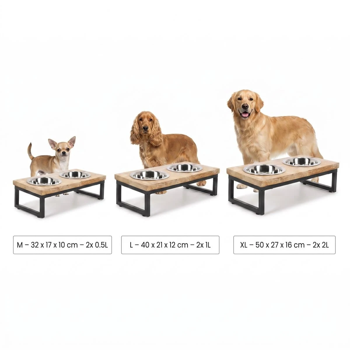 Sizing visual: a chihuahua, a dachshund and a golden retriever each at the feeding station size meant for them, with the dimensions listed underneath.