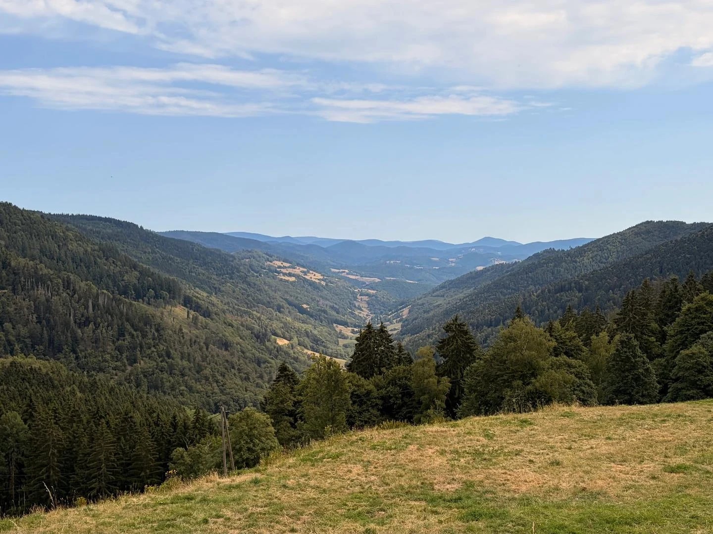 Campaign photograph: a wide valley of forested hills and pasture in eastern France.